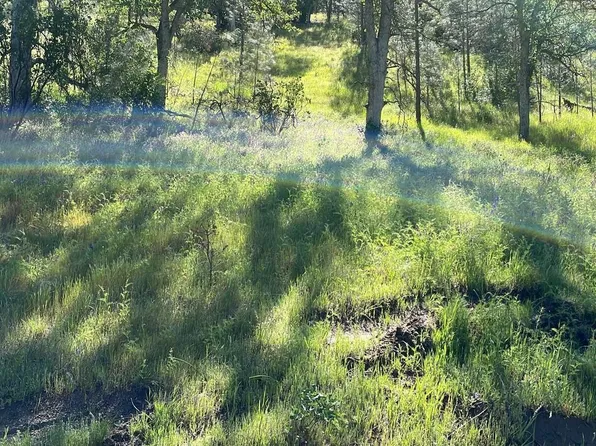 16180 Hill Crest Rd, Corning, CA 96021