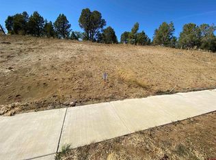 15 Salt Brush St, Durango, CO 81301