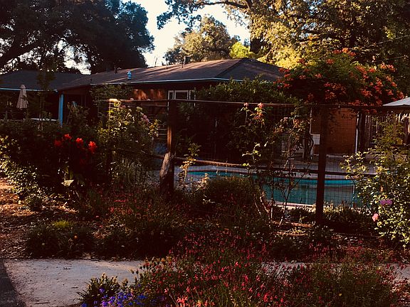 5th image of 1055 Petra Dr