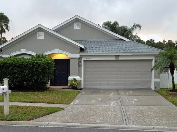 30809 BURLEIGH DRIVE, WESLEY CHAPEL, FL 33543