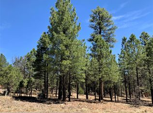 2669 Starlight Dr, Happy Jack, AZ 86024