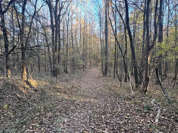 0 County Road 311, Oxford, MS 38655