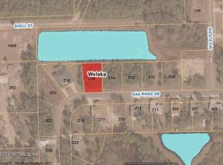 216 Oak Ridge Dr, Welaka, FL 32193
