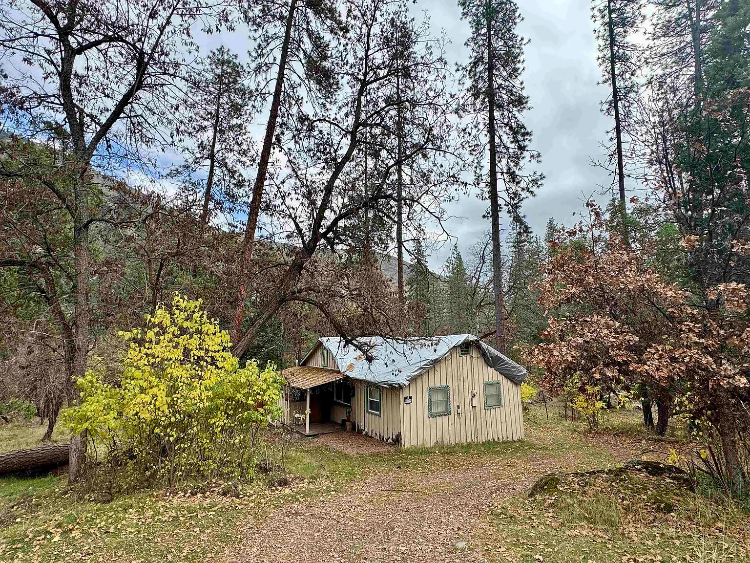 421 Beaver Creek Rd photo 1