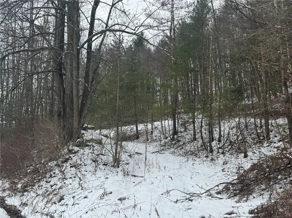 Wilcox Rd #9, Oxford, NY 13830