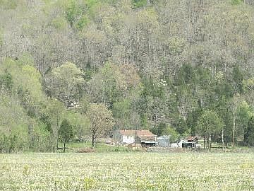 2nd image of 1820 Cane Creek Rd
