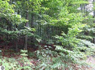 E Lakeview Hills Rd, Traverse City, MH 49684