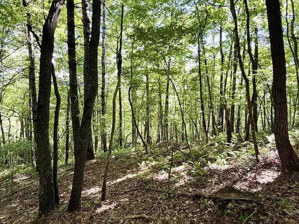 675 Ed Graves Rd, Murphy, NC 28906