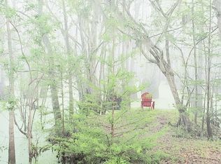 124 Tree Frog Pl, Ridgeville, SC 29472