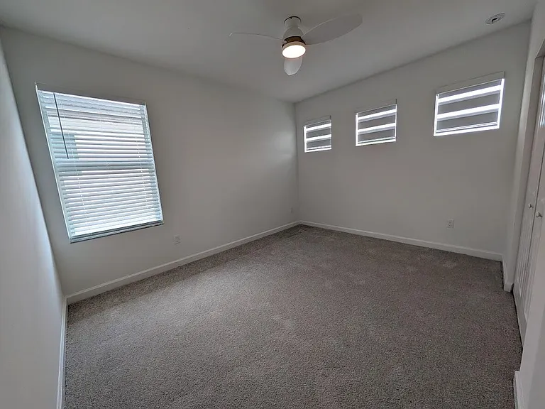 4315 Sylvester Palm Dr — Photo 23