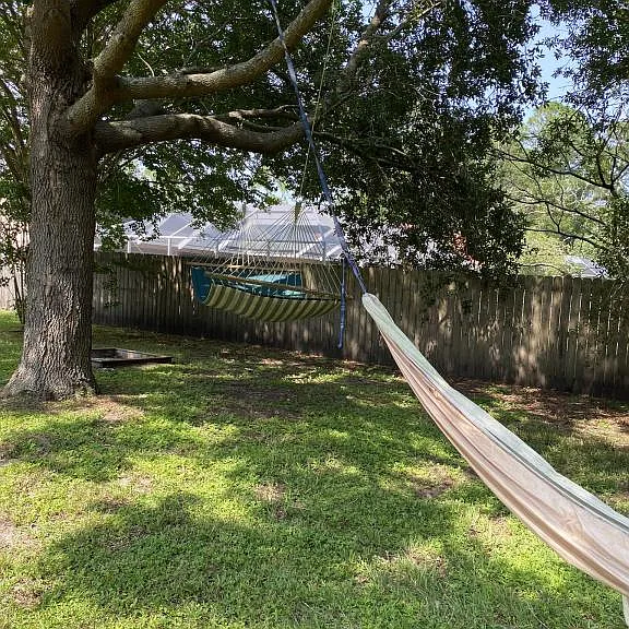 54 Burning Bush Dr — Photo 15