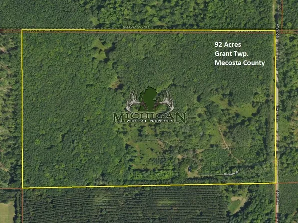 13250 Balsam Rd, Hersey, MI 49639