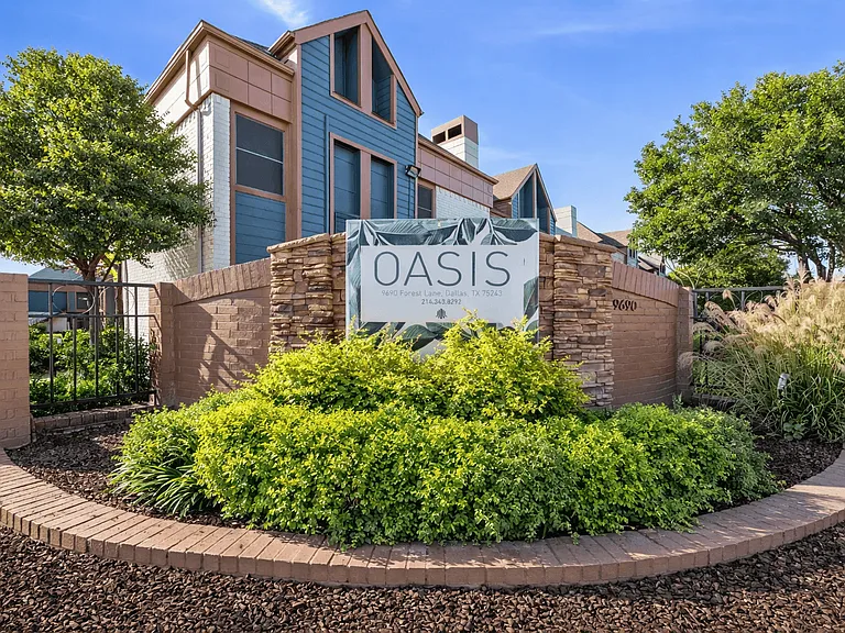 Oasis — Photo 11
