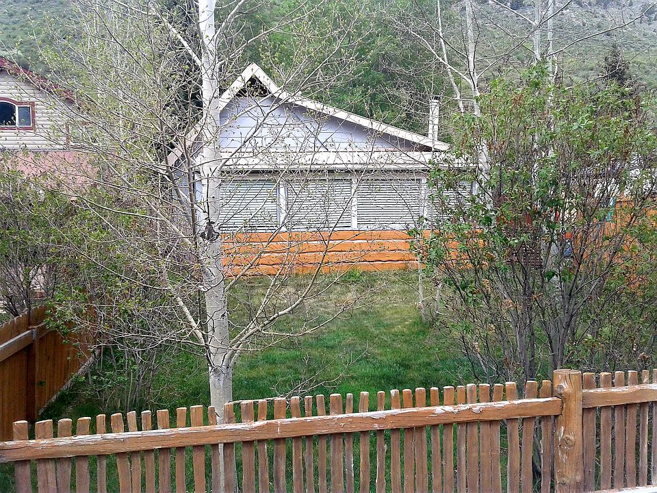 Front yard, aspens and lilac