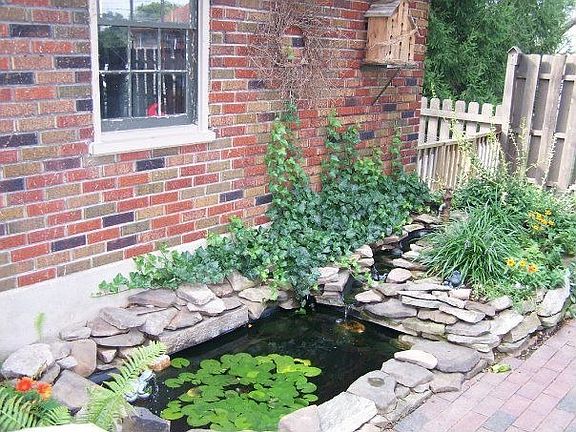 Beautiful fish pond