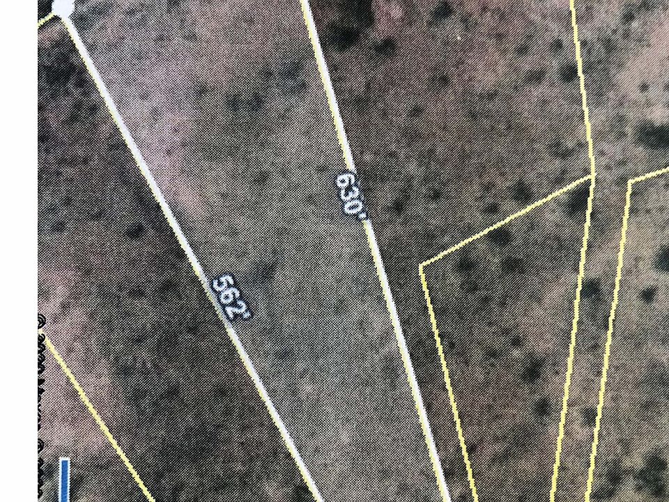 2nd image of 344 Anfibio Ct