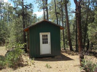 1136 Justins Rd, Pagosa Springs, CO 81147