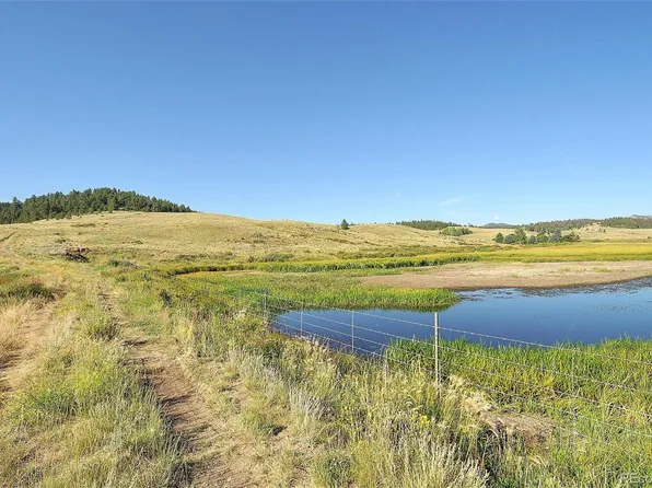 1245 Badger Creek Road LOT 15, Hartsel, CO 80449