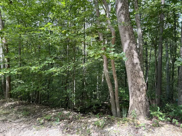 0 Meandering Cir Lot 4, Maynardville, TN 37807