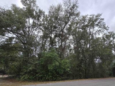(Undisclosed Address), Tallahassee, FL, 32305