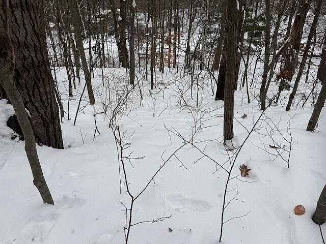 2nd image of 9861 E School Section Lake Dr