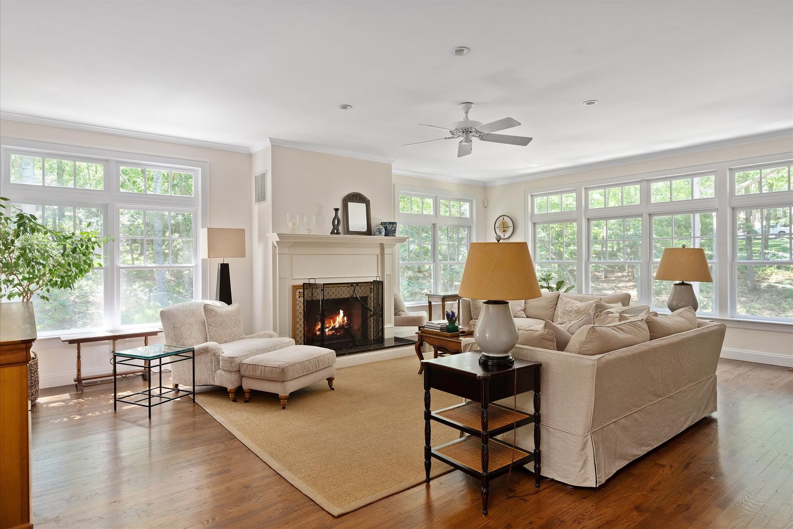  Light-filled Living Room