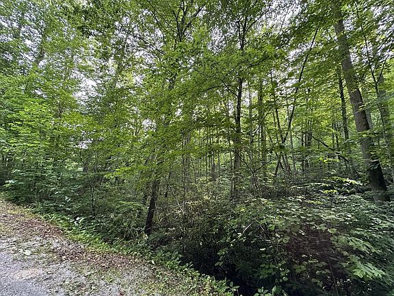 2nd image of 0 Hemlock Falls Rd
