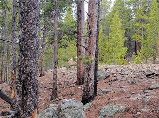 Vista Rd, Idaho Springs, CO 80452