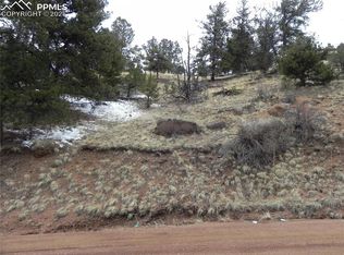 153 Idlewild Dr, Cripple Creek, CO 80813