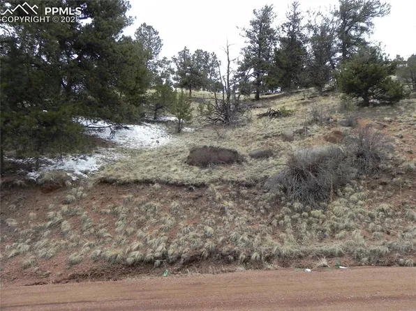 153 Idlewild Dr, Cripple Creek, CO 80813