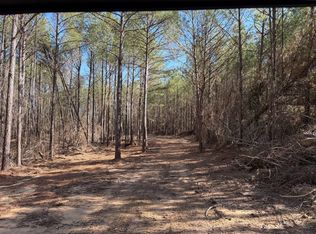 Holman Church Rd, Gordo, AL 35466