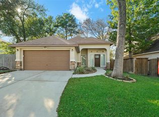 13091 Hydra Ct, Willis, TX 77318