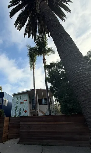2529 Abbot Kinney Blvd #1/2 Photo 1