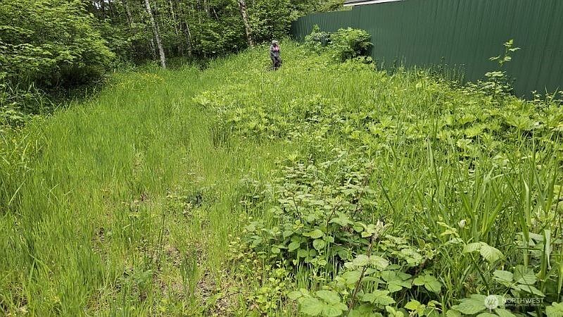 5th image of 136 Peppermill Drive