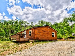 605 Lamb Mountain Rd, Fairplay, CO 80440