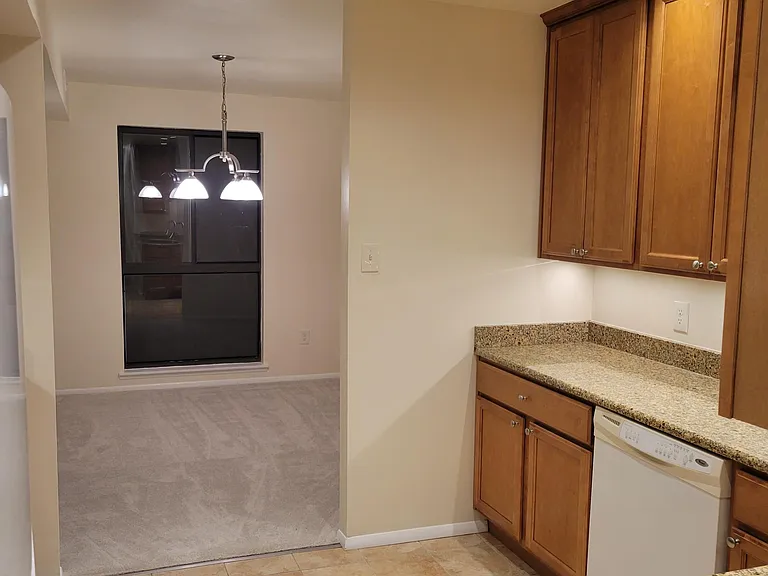 2049 Royal Fern Ct #2B — Photo 4
