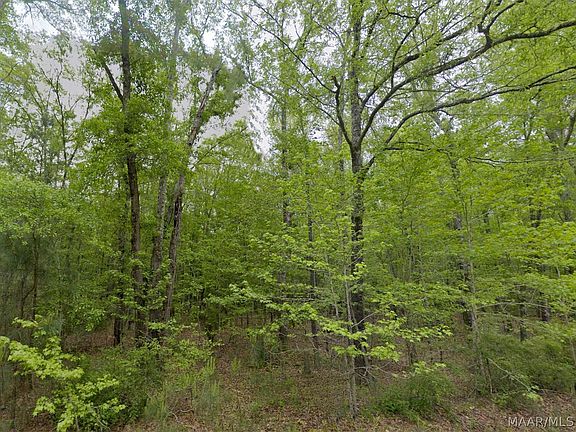 4th image of 0 Pine Grove Rd