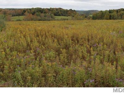 0 Bonney Hill Rd, Hamilton, NY, 13346