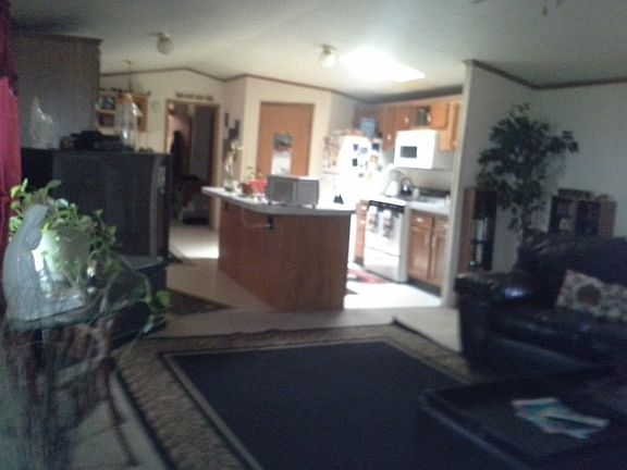 4th image of 1441 Everest Lane