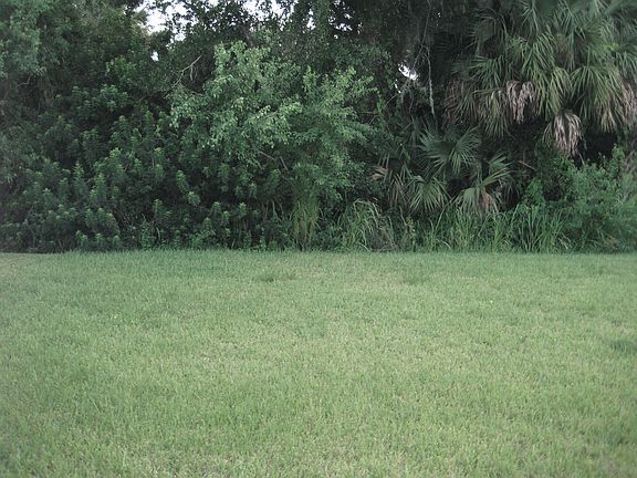 4th image of 141 Bristol Forest Trl