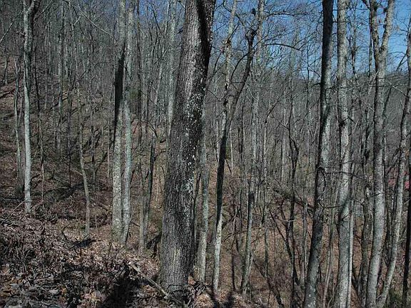 3rd image of 29 Whippoorwill Hill Way #29