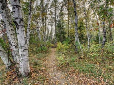 1137 Fern Ave SE, Menahga, MN, 56464