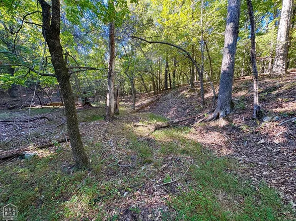0 Browns Chapel Rd #0, Viola, AR 72583