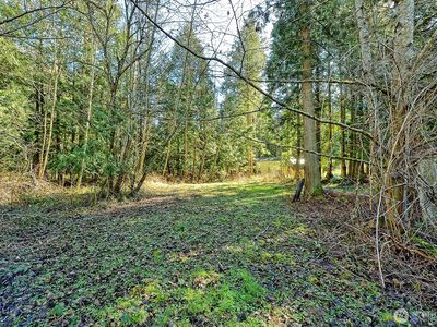 0 XX Lot 55, Carson Road, Blaine, WA, 98230