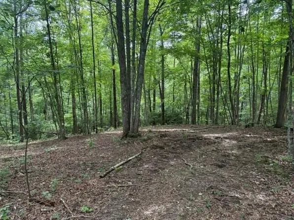 3B S Pittsburg Mountain Rd, South Pittsburg, TN 37380