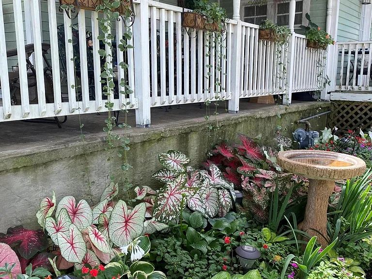 320 E Hickory St — Photo 12