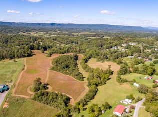 0 Lovelace Dr, Fall Branch, TN 37656