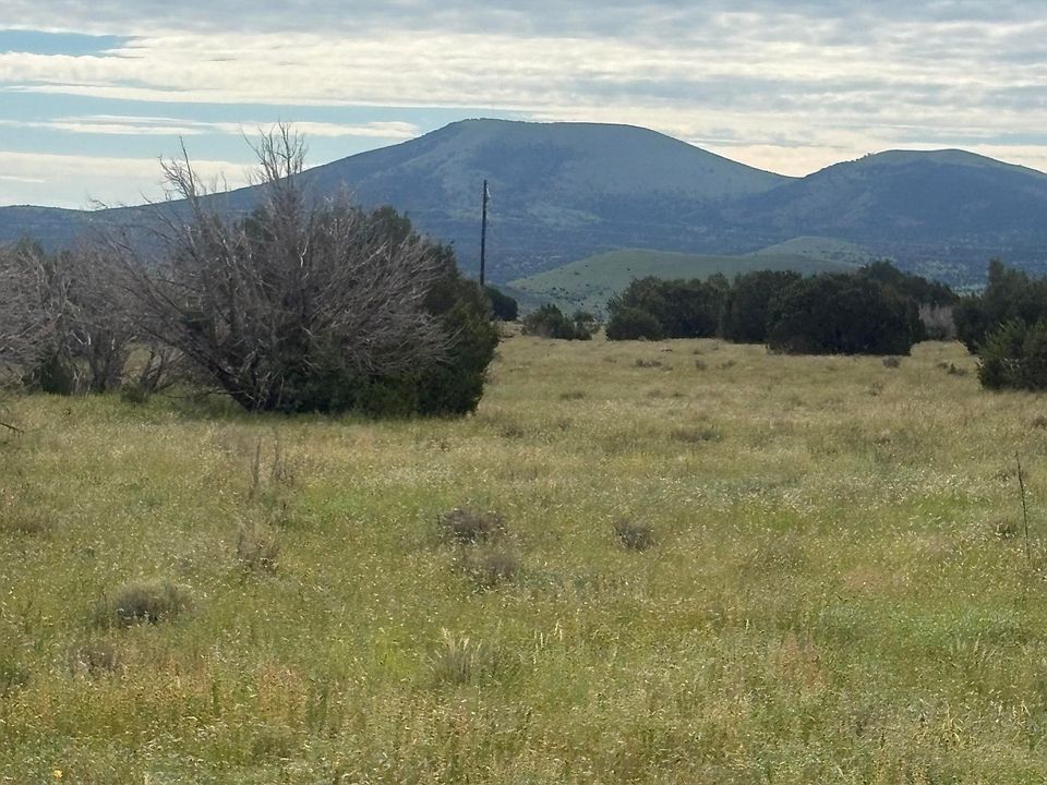 1st image of 149 County Road 3149