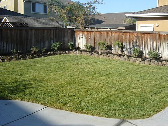 Large Landscaped Backyard