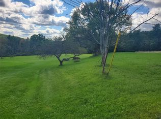 43 Deyo Hill Rd, Johnson City, NY 13790